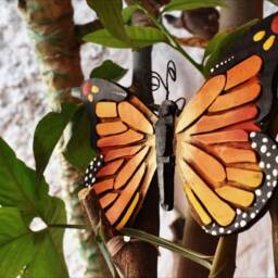 Monarch Butterfly Wall Art, Diy Kits & Eco-Friendly Creative Collection - thumbnail 2