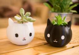 Cute Cat Planter - Lover Gift For Her, Succulent Pot, Animal Desk Decor, Christmas Gift, Dad, Birthday Present Idea, Black Cat