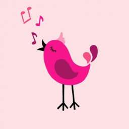 Singing Birdie Wall Art Stencil - Better Than Decals Easy To Use