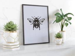 Bee Illustration Framed Wall Art Print Nature Inspired Home Decor Botanical Minimalist Style Modern Living Room Gift Idea - thumbnail 1