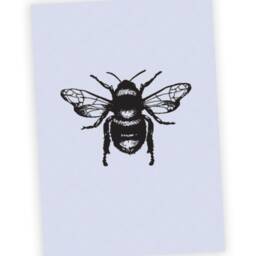 Bee Illustration Framed Wall Art Print Nature Inspired Home Decor Botanical Minimalist Style Modern Living Room Gift Idea - thumbnail 2