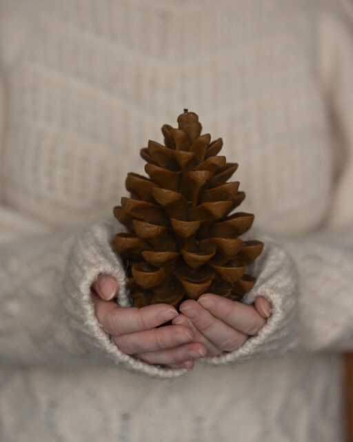 Pine Cone Candles, Beeswax Candle, Fall Autumn Centerpiece Decor, Tableware Decoration, Decorative Christmas Candle - image 1