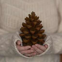 Brown Beeswax Pine Cone Candle, Christmas Home Table Decor - thumbnail 4
