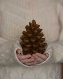Pine Cone Candles, Beeswax Candle, Fall Autumn Centerpiece Decor, Tableware Decoration, Decorative Christmas Candle - thumbnail 1