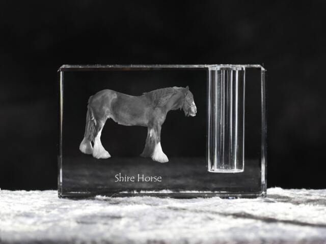 Shire Horse , Crystal Pen Holder With Horse, Souvenir, Decoration, Limited Edition, Collection - image 1