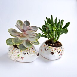 Mini Planter, Fall Decor, Woodland Nursery Kids Room Hedgehog Housewarming Gift, Animal Planter