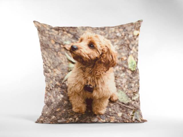 Custom Pet Photo Pillow, Personalised Cushion With Inner. Your Image On A Cushion, Personalised, Cushion, Dog - image 1
