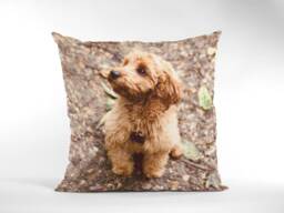 Custom Pet Photo Pillow, Personalised Cushion With Inner. Your Image On A Cushion, Personalised, Cushion, Dog - thumbnail 1
