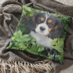 Custom Pet Photo Pillow, Personalised Cushion With Inner. Your Image On A Cushion, Personalised, Cushion, Dog - thumbnail 3