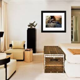 Lizard Wall Art, Photos, Nature Photography, Sun Bathing, Digital Download - thumbnail 4