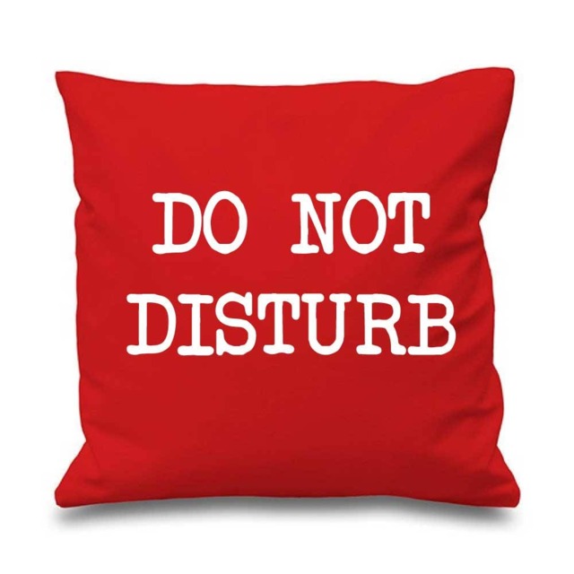 Do Not Disturb Cushion Cover Bedding Teenager Present Gift - image 1