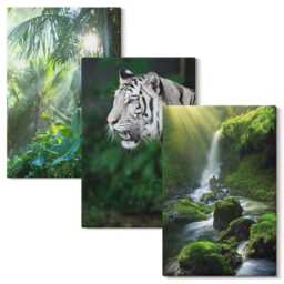 3 Piece Canvas Set - Jungle With A White Tiger & Wild Waterfall, Green Wall Art Print, Animals Hanging - thumbnail 2