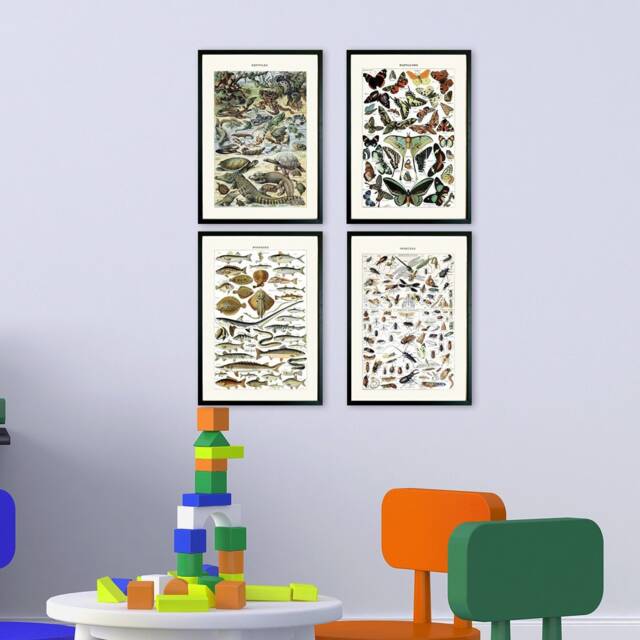 Framed Vintage Insect Prints, Kids Bedroom Decor, Set Of 4 - image 1