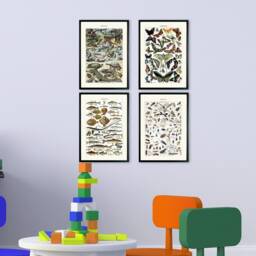 Framed Vintage Insect Prints, Kids Bedroom Decor, Set Of 4 - thumbnail 1