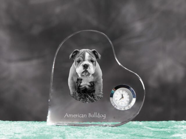 American Bulldog - Crystal Clock in The Shape Of A Heart With Image Pure-Bred Dog - image 1