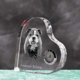 American Bulldog - Crystal Clock in The Shape Of A Heart With Image Pure-Bred Dog - thumbnail 2