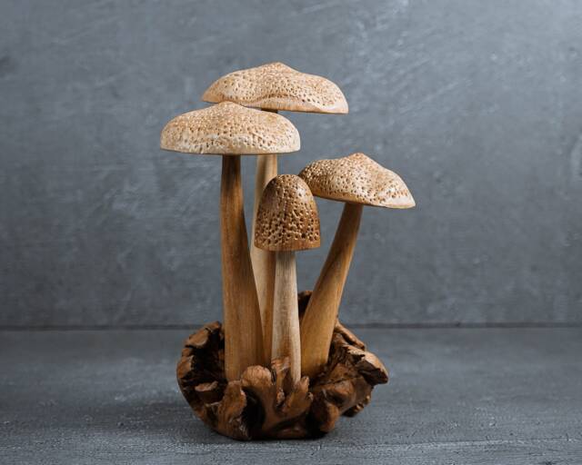 Handmade Mushroom Wood Carving Rustic Table Decor 8.2 - image 1