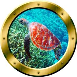 Sea Turtle Window Porthole Coral Reef Vinyl Wall Decal - Vwaq Gp31 - thumbnail 2