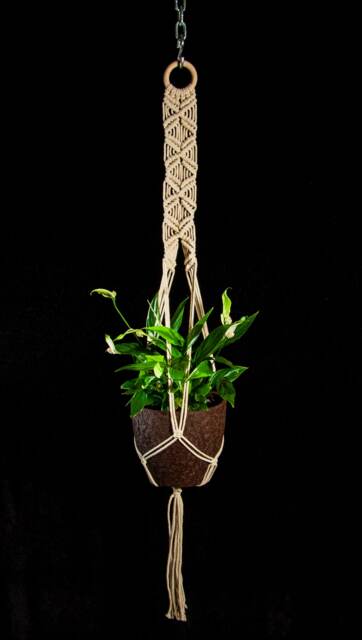 Hanging Planter Macrame Plant Hanger Wall Pot Holder Indoor Garden Decor Bohemian Wedding Modern Boho Home - image 1