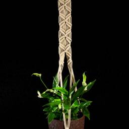 Hanging Planter Macrame Plant Hanger Wall Pot Holder Indoor Garden Decor Bohemian Wedding Modern Boho Home - thumbnail 2