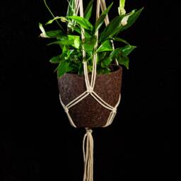 Hanging Planter Macrame Plant Hanger Wall Pot Holder Indoor Garden Decor Bohemian Wedding Modern Boho Home - thumbnail 3