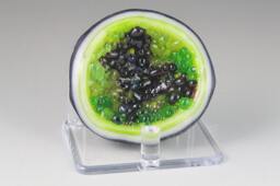 Watermelon Citrine Geode - thumbnail 1