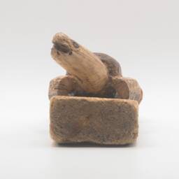Tobias, Driftwood Sculpture, Turtle, Tortoise, Terrapin, Rustic Wooden Ornament, Small Gift, Unique Art - thumbnail 3