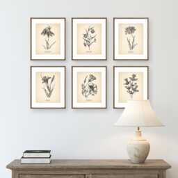 8x10'' Vintage Botanical Prints Set Of 6 Poster Wildflower Print Flower Art Neutral Decor - thumbnail 3