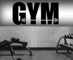 Gym Vinyl Sticker Decal Sign Wall Art Graphic Shop Window Fitness Training Bodybuilding Weights Quote Motivational Home Decor