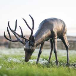 Brushed Bronze Grazing Buck Garden Sculpture, Cast Aluminium Buck, Life Size Stag, Like Statue, Gift Idea, Highly Detailed - thumbnail 1
