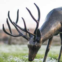Brushed Bronze Grazing Buck Garden Sculpture, Cast Aluminium Buck, Life Size Stag, Like Statue, Gift Idea, Highly Detailed - thumbnail 2
