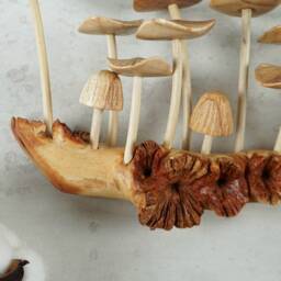 Wooden Mushroom Wall Art, Hanging Ornament, Handicraft, Sculpture, Fungi Figurine, Wood Carving, Decor, Aesthetic Room Mom Gift - thumbnail 4