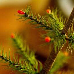 Mini German Goose Feather Christmas Tree - thumbnail 2