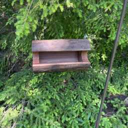 Medium-Small Barkless Log Bird Feeder, Rustic Walnut, The Original Natural Seed Feeder - thumbnail 2