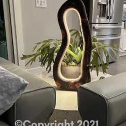 Black Essential Xl Edition -Hand-Carved Sculptural Wood Lamp - thumbnail 3