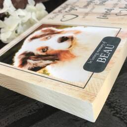 Pet Memorial Gift, Dog Memorial, Frame, Plaque, Photo Memorial Picture Cat - thumbnail 3