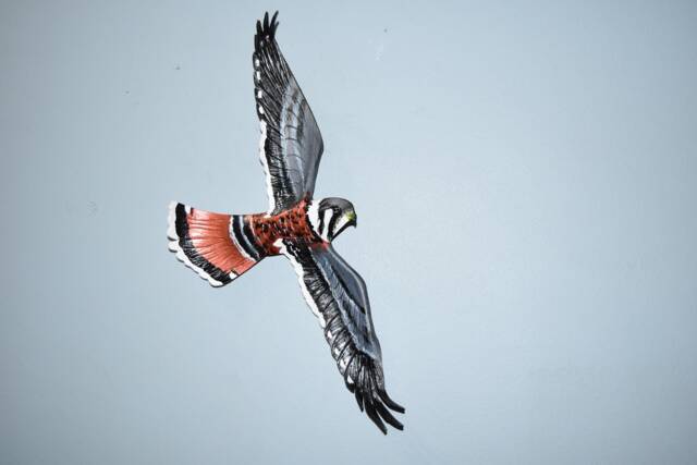 Kestrel Bird Of Prey Picture, Leather Bird, Wall Hanging - 11 Inch Wingspan Custom Order - image 1
