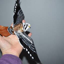 Kestrel Bird Of Prey Picture, Leather Bird, Wall Hanging - 11 Inch Wingspan Custom Order - thumbnail 4