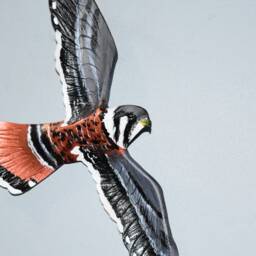 Kestrel Bird Of Prey Picture, Leather Bird, Wall Hanging - 11 Inch Wingspan Custom Order - thumbnail 2
