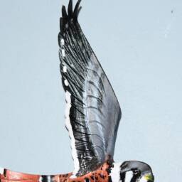 Kestrel Bird Of Prey Picture, Leather Bird, Wall Hanging - 11 Inch Wingspan Custom Order - thumbnail 3