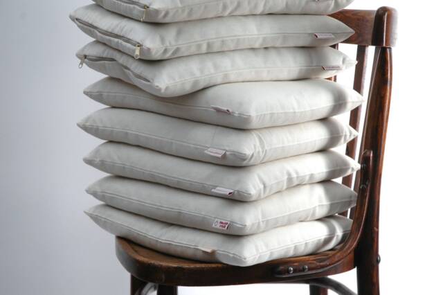 Small Buckwheat Pillow 12x16''/30x40cm Sleep Zw Neck Orthopedic Pillows Travel Natural Organic - image 1