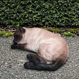 Concrete Siamese Cat Statue Garden Sculpture Siamese Decoration Outdoor Kitten Ornament Cat Lover Gift Cement Animal Figurine - thumbnail 2