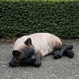 Concrete Siamese Cat Statue Garden Sculpture Siamese Decoration Outdoor Kitten Ornament Cat Lover Gift Cement Animal Figurine - thumbnail 1