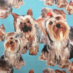 Yorshire Terrier Blue Dog Print Cushion Cover - Yorkie, Home Decor, Pillow Cover, Home & Living, Decorative Pillow, 38x38cm - thumbnail 2
