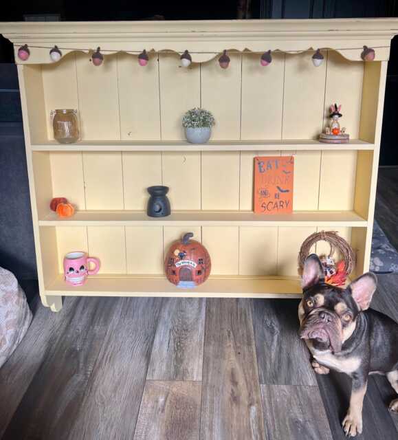 Sold Wall Hung Shelving Unit, Hand Painted, Storage, Bookcase, Wall Mounted Shelves, Rustic, Farmhouse, Distressed, Country Chic - image 1