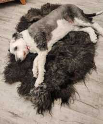 Felted Hebridean Fleece Rug, Black & Chocolate, Cruelty-Free - thumbnail 1