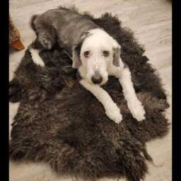 Felted Hebridean Fleece Rug, Black & Chocolate, Cruelty-Free - thumbnail 2
