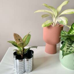 Faceted Disco Flower Pot - thumbnail 4