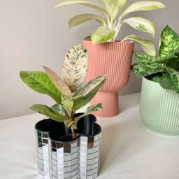 Faceted Disco Flower Pot - thumbnail 2