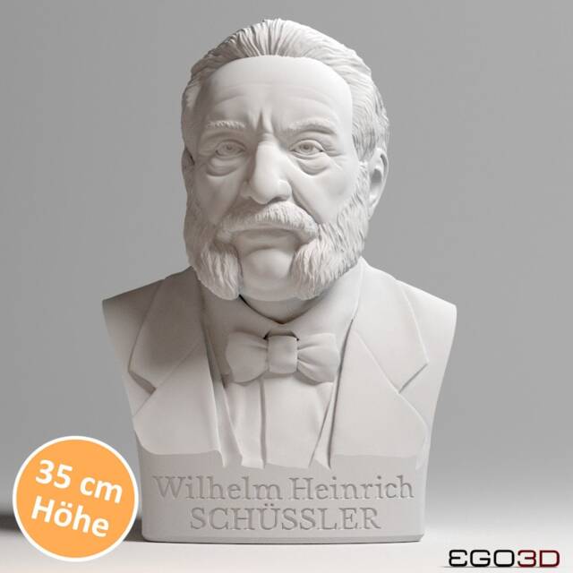 Dr. Wilhelm Heinrich Sch??ssler - 35 cm Bust Busts With Personality - image 1